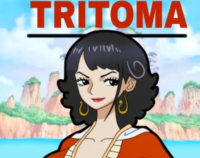 Ilustrasi karakter Tritoma yang diduga ibu kandung Luffy. [Instagram]